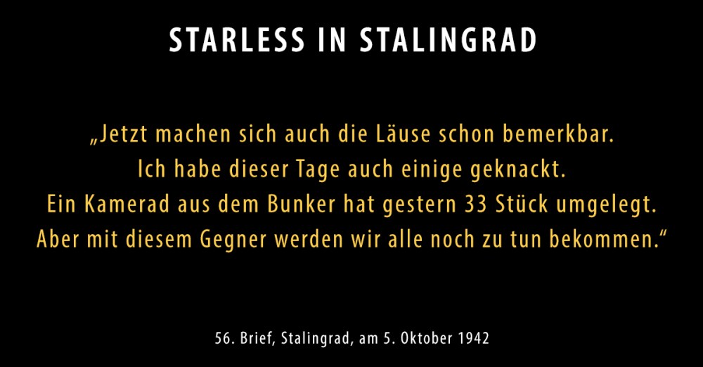 SIS-Brief56-neu_Starless-in-Stalingrad-Dokumentarisches-Labor Kopie.jpg